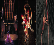 날아다니는 처녀들2