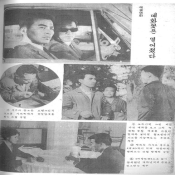 매화꽃은 떨어졌다